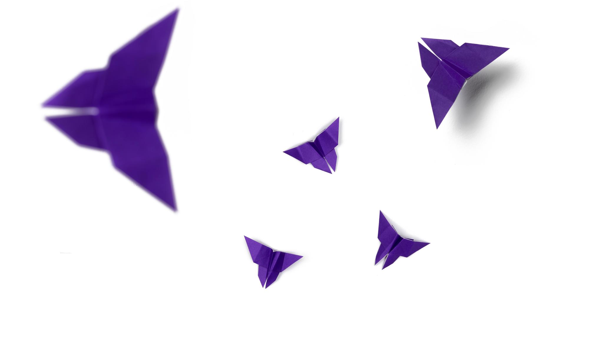 Mariposas Panorama Justicia Feminista